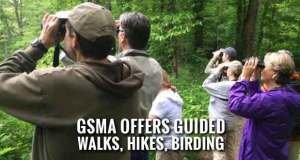 Registration Open for Branch Out Events in Smokies