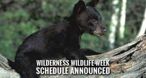 Wilderness Wildlife Week Promises Excursions, Seminars and More